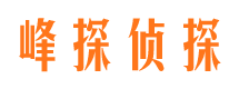 田阳婚外情调查